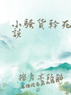 小骚货干死你小说