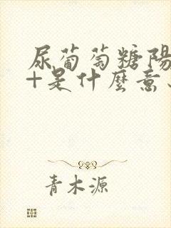 尿葡萄糖阳性2+是什么意思