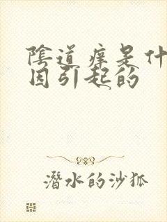 阴道痒是什么原因引起的