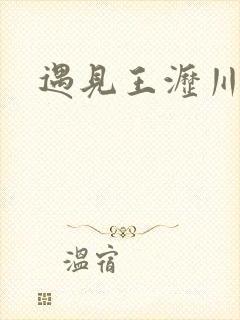 遇见王沥川片段