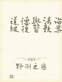 道德与法治九年级复习教案