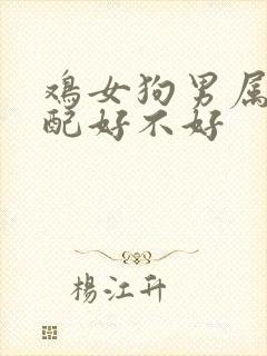 鸡女狗男属相婚配好不好