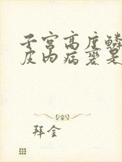 子宫高度鳞状上皮内病变是什么意思