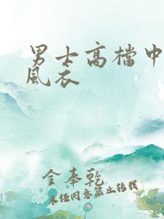 男士高档中长款风衣