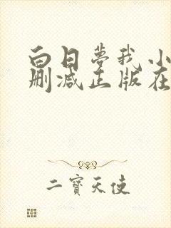 白日梦我小说无删减正版在线阅读