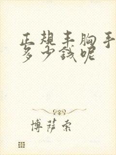 正规丰胸手术要多少钱呢