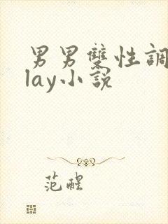 男男双性调教play小说