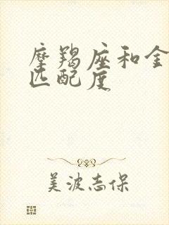 摩羯座和金牛座匹配度