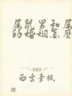 属鼠男和属牛女的婚姻怎么样