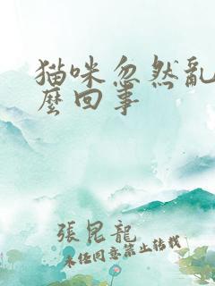 猫咪忽然乱尿怎么回事