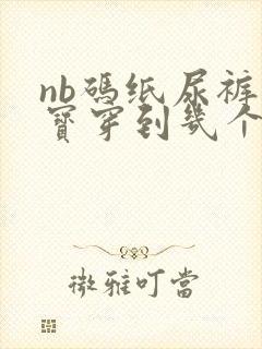 nb码纸尿裤宝宝穿到几个月