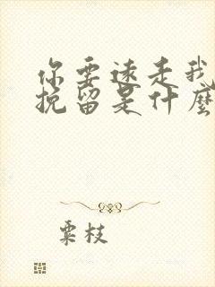 你要远走我无法挽留是什么歌