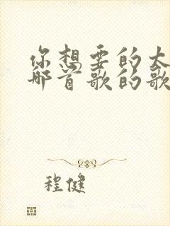 你想要的太多是哪首歌的歌词