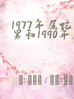 1977年属蛇男和1990年属马女合不合