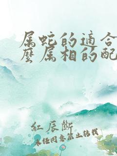 属蛇的适合找什么属相的配偶