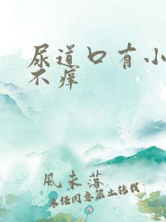 尿道口有小肉粒不痒