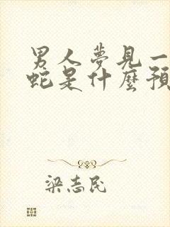 男人梦见一条黑蛇是什么预兆