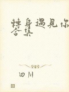 转身遇见你短剧合集