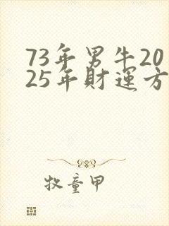 73年男牛2025年财运方向