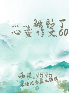 ……触动了我的心灵作文600