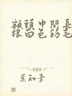 额头中间长了一根白色的毛