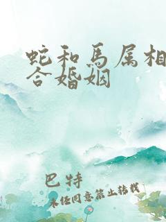 蛇和马属相合不合婚姻