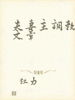 夫妻主调教男奴文章