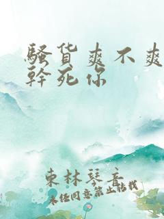 骚货爽不爽贱人干死你