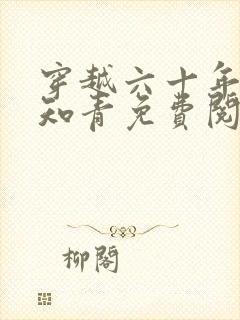 穿越六十年代小知青免费阅读