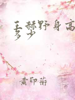 王赫野身高体重多少