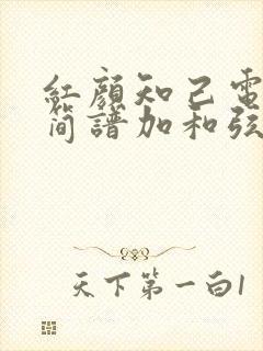 红颜知己电子琴简谱加和弦