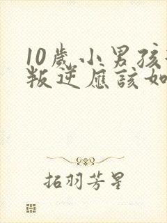 10岁小男孩很叛逆应该如何管教