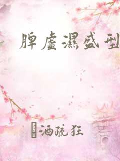 脾虚湿盛型症状