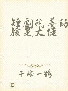 短剧我养的小白脸是大佬