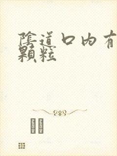 阴道口内有白色颗粒