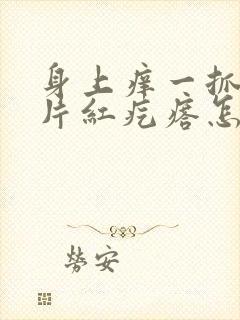 身上痒一抓一大片红疙瘩怎么办