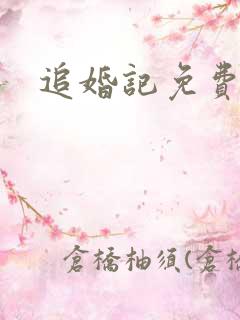 追婚记免费看