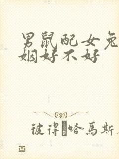 男鼠配女兔的婚姻好不好