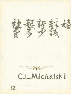 被起诉离婚律师费多少钱