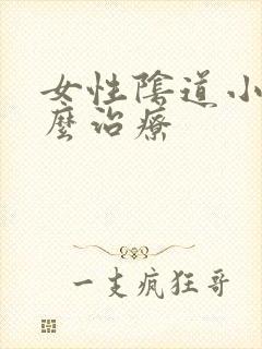 女性阴道小泡怎么治疗