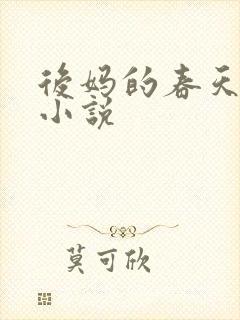 后妈的春天言情小说
