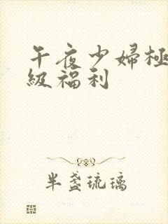 午夜少妇极品一级福利