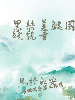 黑丝美腿国产在线观看