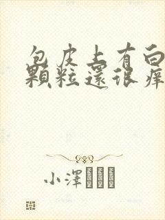 包皮上有白色小颗粒还很痒