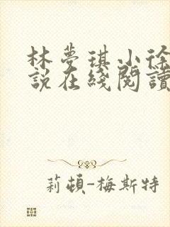 林梦琪小徐的小说在线阅读免费无弹窗