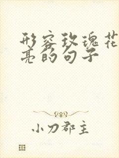 形容玫瑰花很漂亮的句子