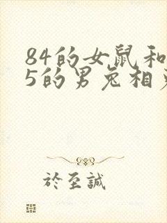 84的女鼠和75的男兔相克吗