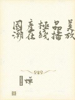 国产极品美女高潮在线播放