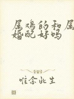 属鸡的和属羊的婚配好吗