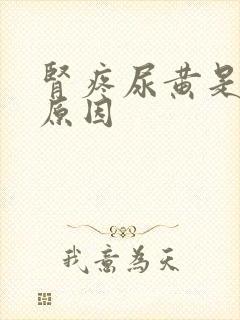 肾疼尿黄是什么原因